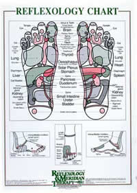 Reflexology. Rx Chart